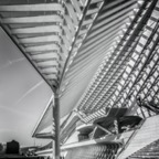 20160505garedesguillemins1a.jpg